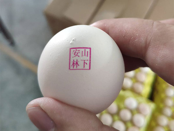 高清高速蛋品噴碼機