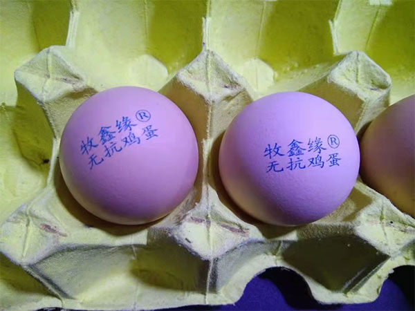 高清高速蛋品噴碼機