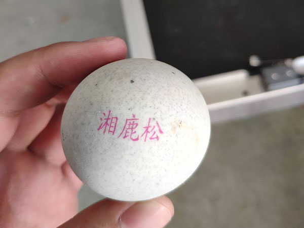 高清高速蛋品噴碼機