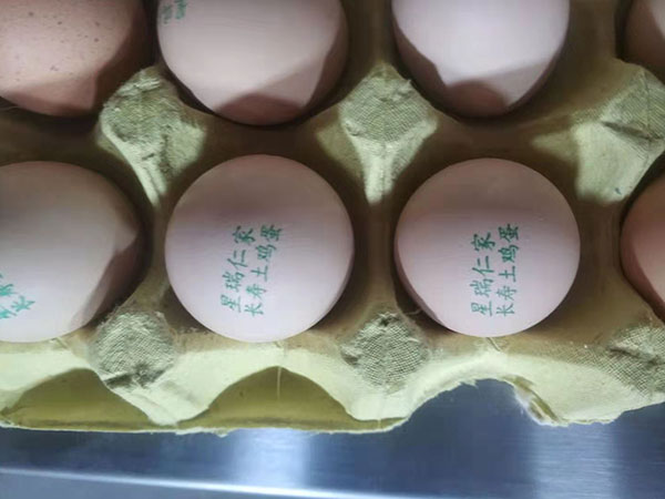 高清高速蛋品噴碼機
